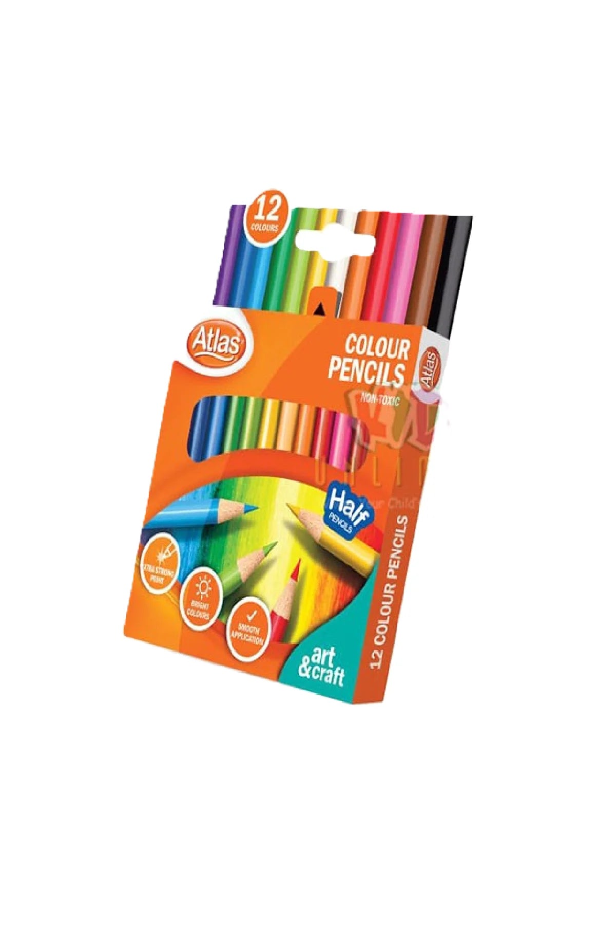 Atlas Colour Pencil 12pcs