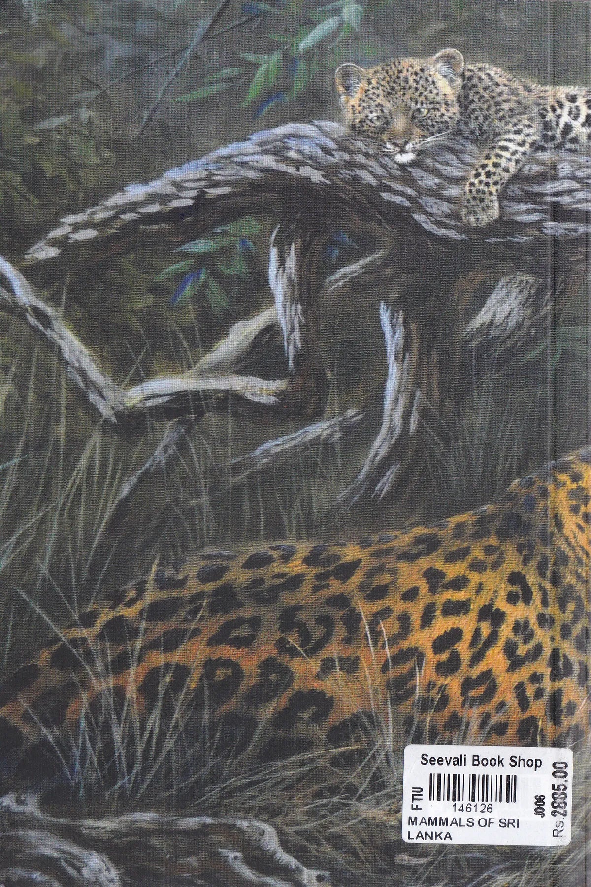 The Pictorial Pocket Guide to the Mammals of Sri Lanka