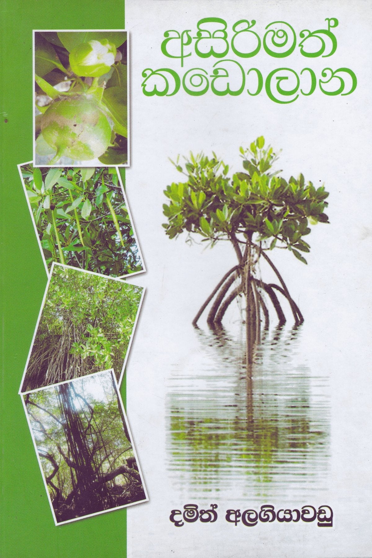අසිරිමත් කඩොලාන | Asirimath Kadolana9789556713695