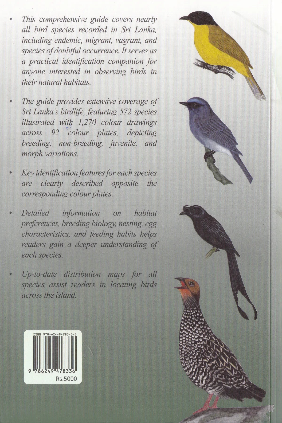 An Illustrated Field Guide to the Fauna of Sri Lanka – Birds