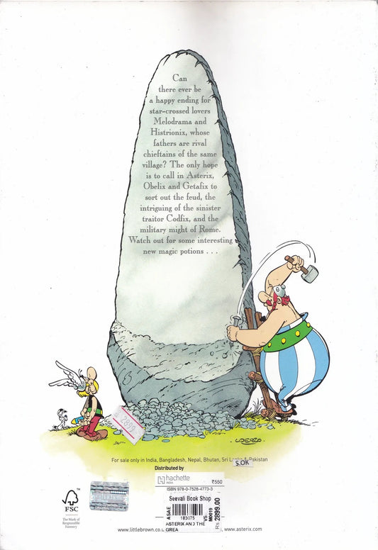 Asterix and the Great Divide