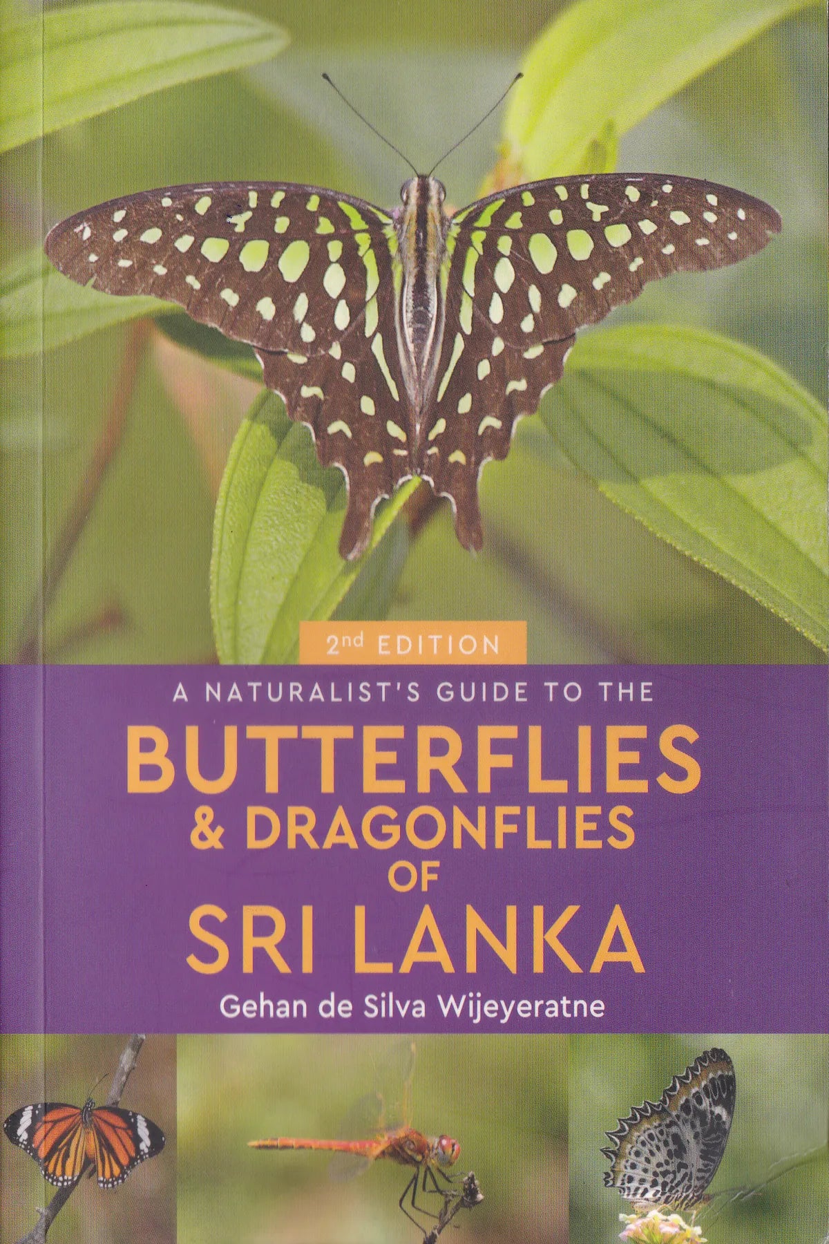 Naturalists Guide To The Butterflies & Dragonflies Of Sri Lanka