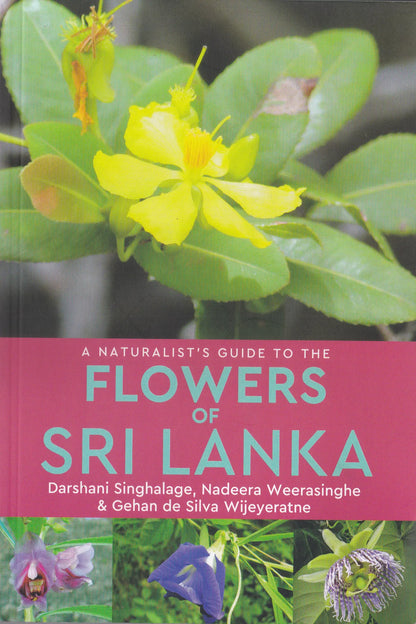Naturalist’s Guide to the Flowers of Sri Lanka