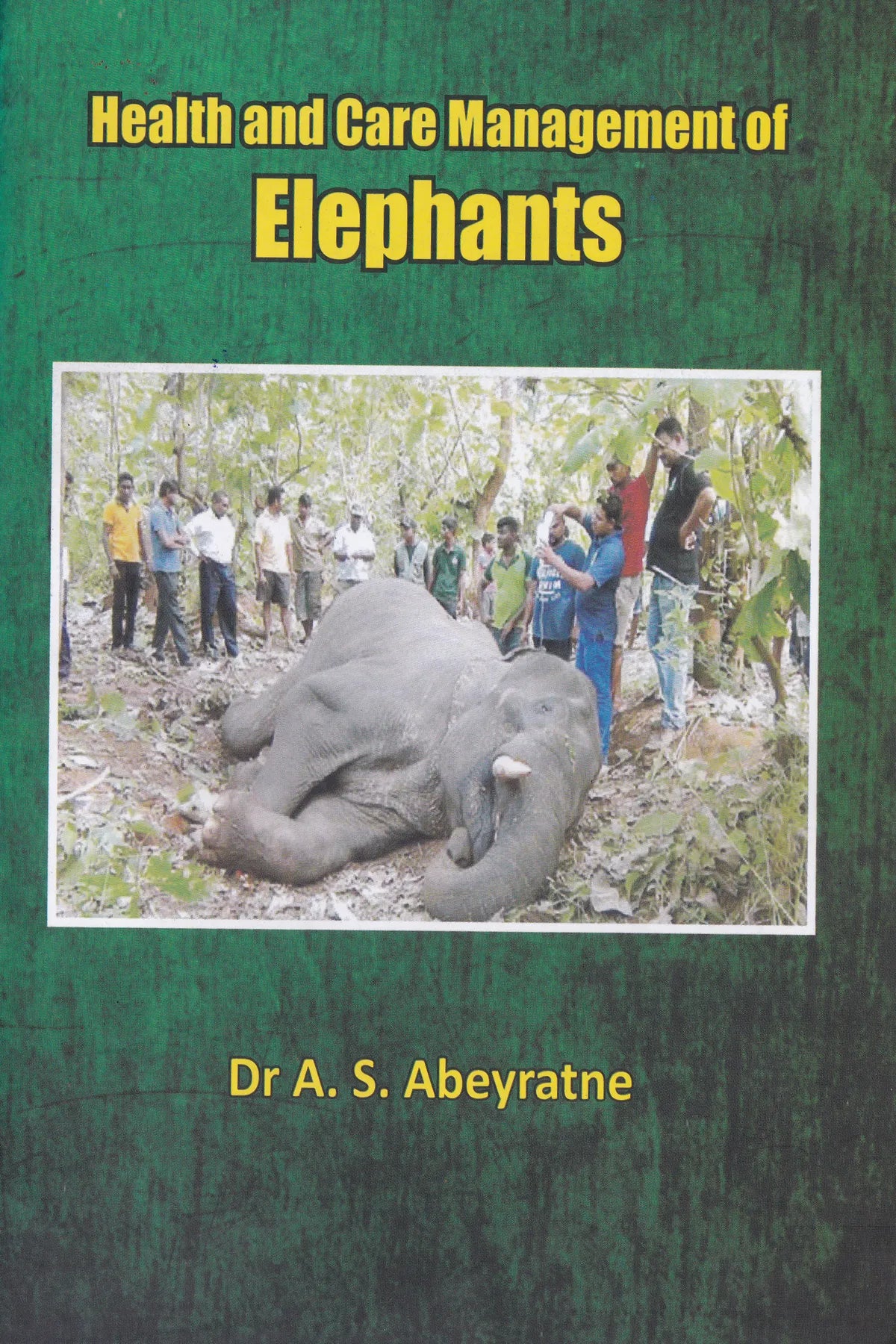 Health and Care Management of Elephants